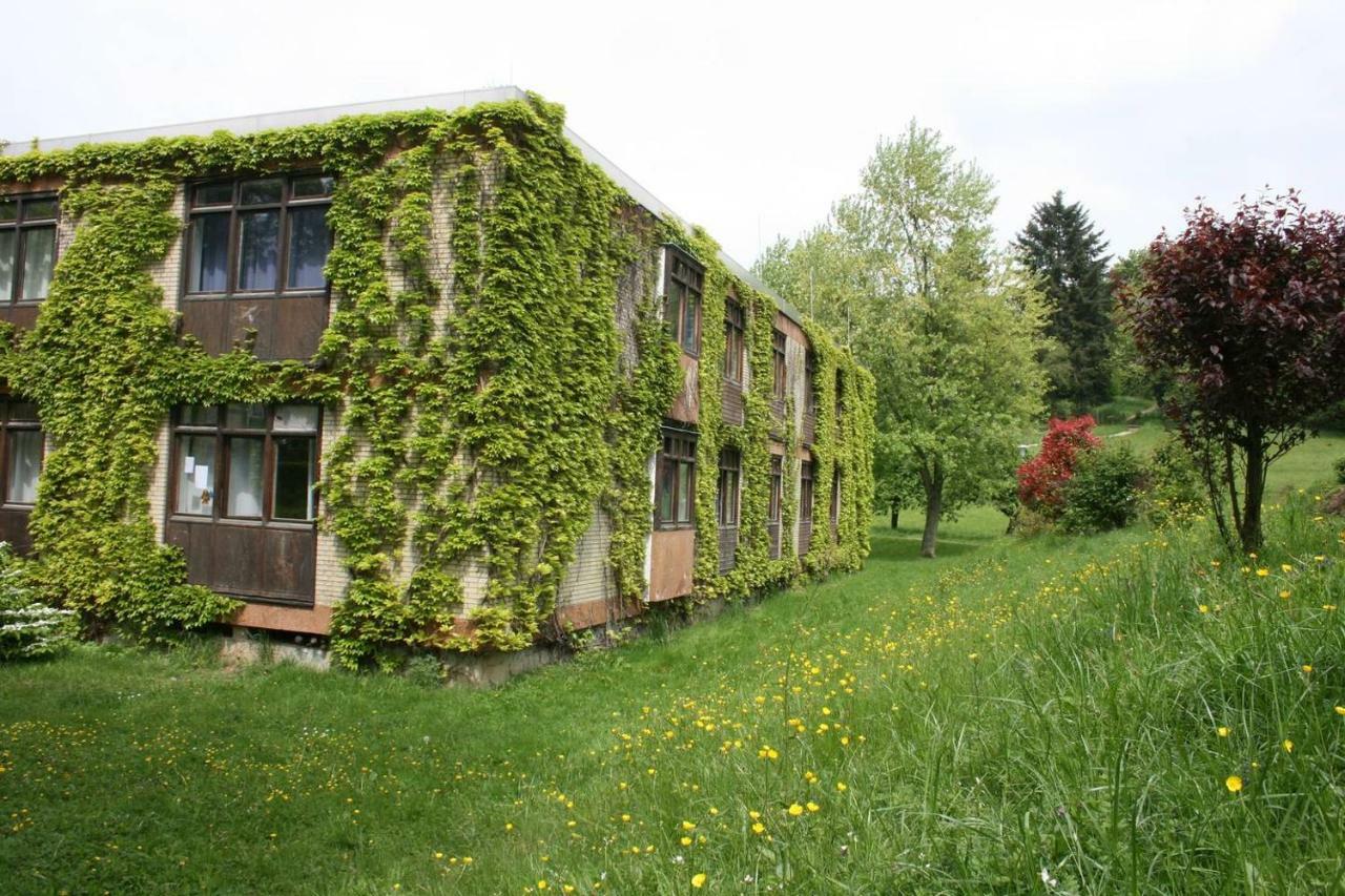 Blumenmeer Appartment Ober-Hambach 외부 사진