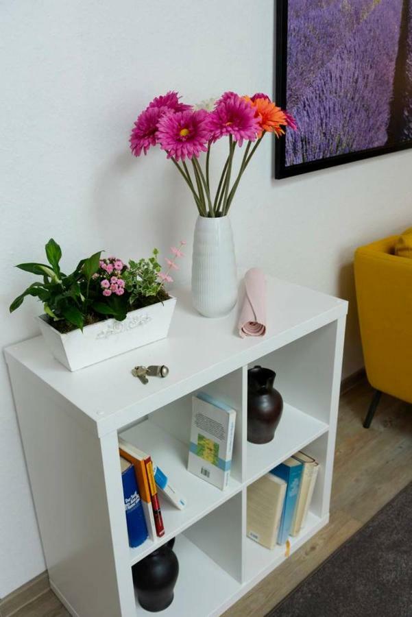 Blumenmeer Appartment Ober-Hambach 외부 사진